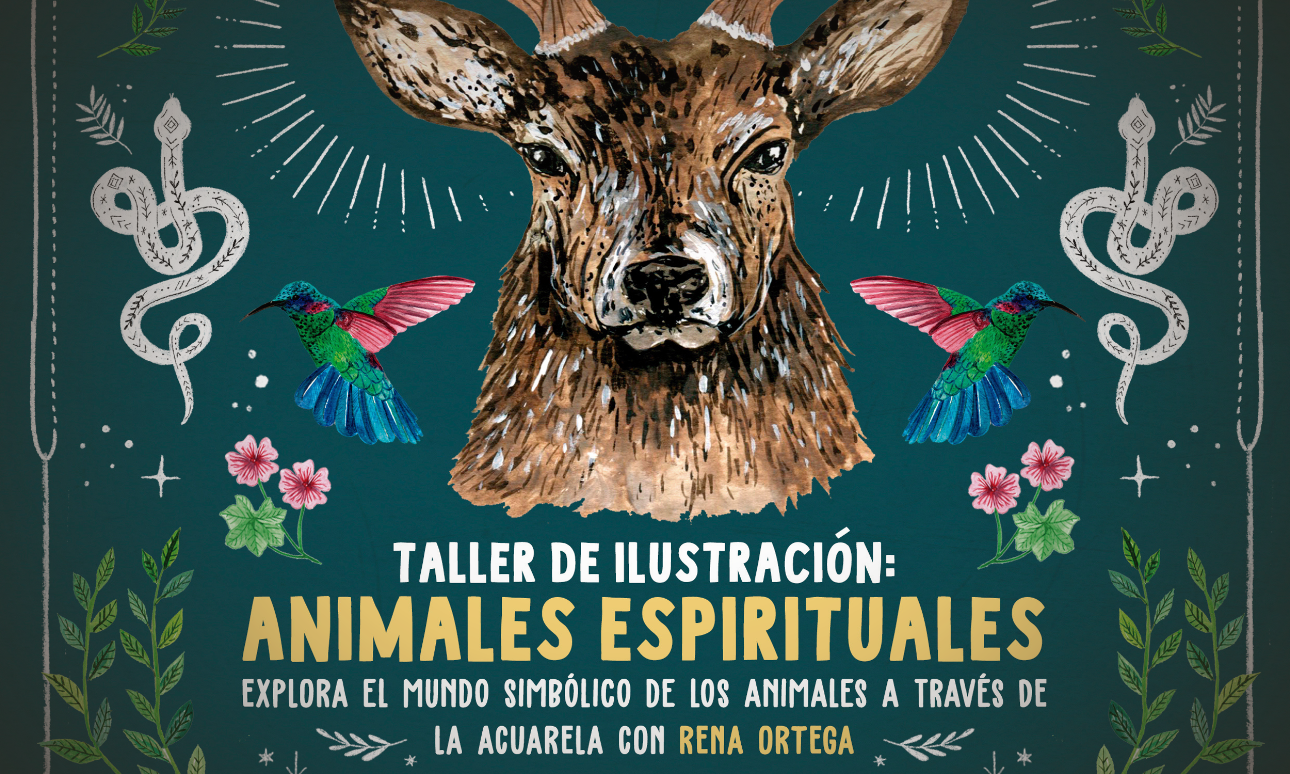 Taller ilustracion Renata Ortega Vigo